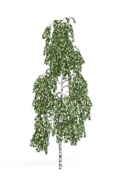 Tree render Stock Photos, Royalty Free Tree render Images | Depositphotos