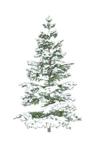 在白色背景上被雪隔离的冷杉树 3D渲染 — 图库照片