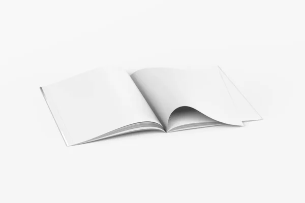 Prázdný Otevřený Časopis Formátu Bílém Pozadí Otevřený Časopis Jednou Stránkou — Stock fotografie