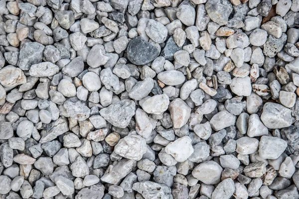 Texture of white small garden stones - White Pebbles texture - Top view of small stones on the ground