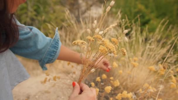 Joven coleccionando flores secas y plantas y haciendo herbario. 4K . — Vídeo de stock