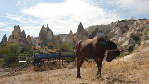 Braunes Pferd frisst Gras in der Nähe eines Bauernwagens. Kappadokien, Türkei. 4k. — Stockvideo