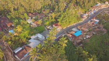 Anteni: Araba ile pirinç terasları ile popüler Tegalalang Köyü'nde sürme turistler. 4k.