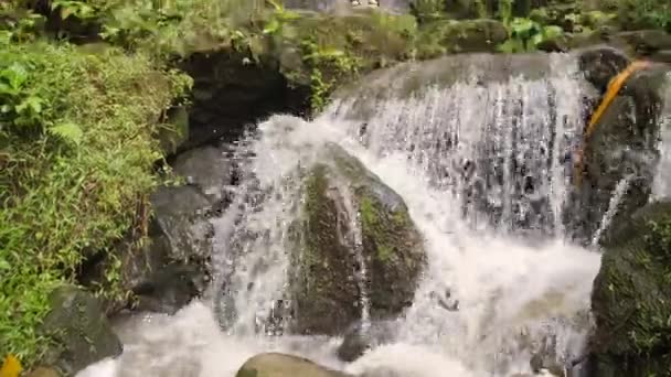 Jong meisje in witte jurk en stro hoed verhogen armen en inhaleren van verse Jungle lucht bij Amazing waterval. Zorgeloos Lifestyle reizen 4k Slowmotion beelden. Bali, Indonesië. — Stockvideo