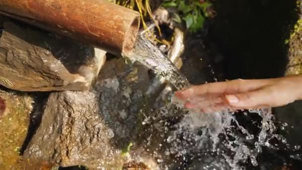 Mano femminile toccando fresco pulito acqua di sorgente naturale nella foresta pluviale della giungla. Rallentatore 4K. Bali, Indonesia . — Video Stock