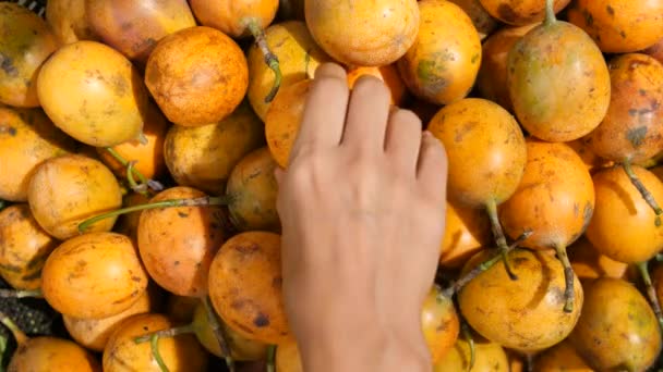 A nőt választotta érett Passion gyümölcsök bio bolt. 4 k. Bali, Indonézia. — Stock videók