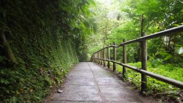 Siga em primeira pessoa View Shot: Caminho da floresta da selva a pé. Calm and Carefree Lifestyle Travel Filmagem em câmera lenta 4K. Bali, Indonésia . — Vídeo de Stock