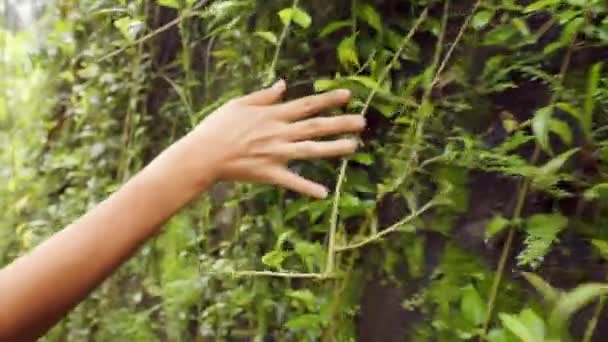 Mujer viajera joven caminando y tocando con la pared de la roca de la mano con Moss. Calm and Carefree Lifestyle Travel 4K Slowmotion Filmación. Bali, Indonesia . — Vídeo de stock