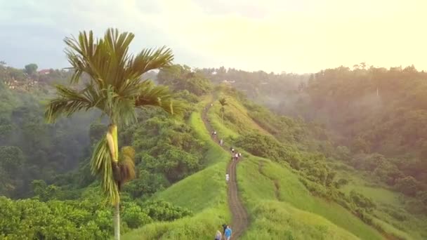 Caminata Campuhan Ridge Sendero Popular Trekking Ubud Bali Indonesia Aéreo — Vídeos de Stock