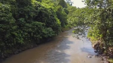 Anteni: Tropikal orman nehir. 4 k. Bali, Endonezya.