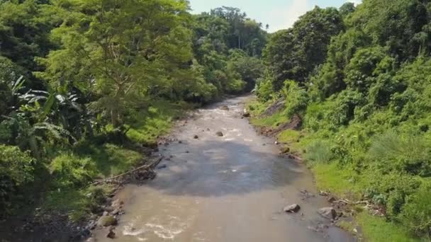 Antenne Tropischer Dschungelfluss Bali Indonesien — Stockvideo