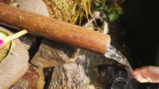 Young Woman Gathering Fresh Clean Natural Spring Water in Jungle Rainforest. 4K Slowmotion. Bali, Indonesia. — Stock Video