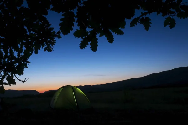 Green Trekking Tent with Flashlight Inside Under Dark Night Sky and Oak Leaves.