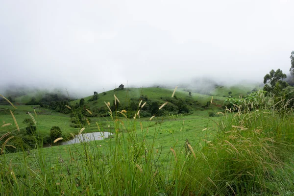 Nubes Bajas Brumosas Sobre Eungella Queensland Australia Trayendo Lluvia Exuberante — Foto de Stock