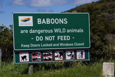 Güney Afrika 'daki Cape Point kayalıklarına karşı yolun kenarındaki babunların tehlikeleri hakkında büyük bir uyarı işareti..                             