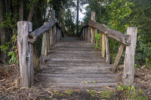 Rickety Naturalistik Tua Bobrok Jembatan Kayu Menyeberangi Sungai Kecil Taman — Stok Foto