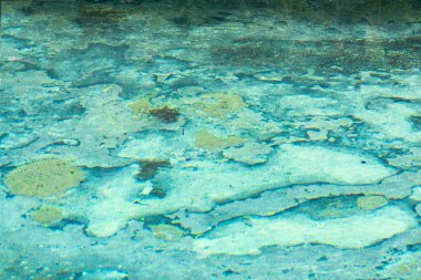 Mavi sualtı okyanus arka planında doku ve bulanıklık