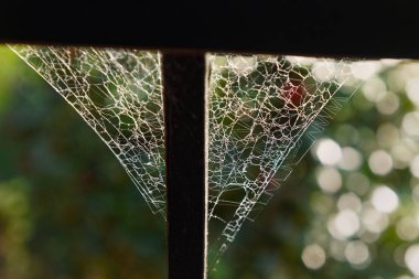 Örümceklerin ağındaki karmaşık geometrik desenler merdiven korkuluklarına bağlı..                             