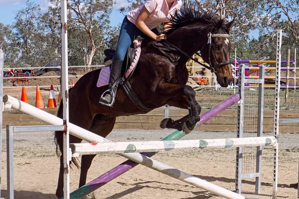 Ung Flicka Rosa Skjorta Och Jeans Sätta Sin Bruna Häst — Stockfoto