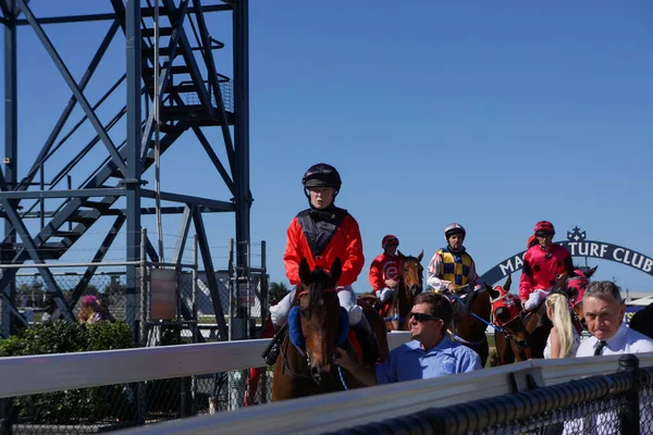 Tävlingshästar Och Deras Jockeyer Leds Efter Avslutning Ett Landsmöte Queensland — Stockfoto