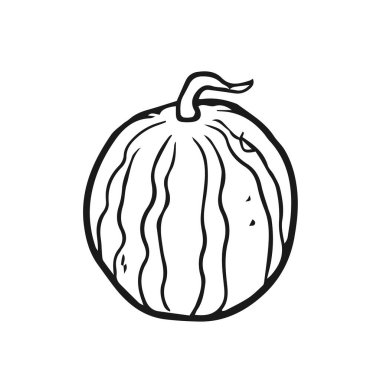 karpuz meyvesi tasarım vektörü