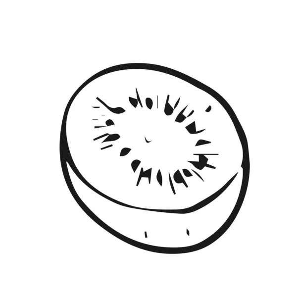 キウイフルーツの概要デザインベクトル — ストックベクタ