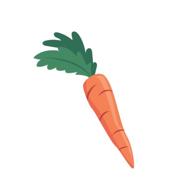 Havuç tasarımı vektörü düz nesneler