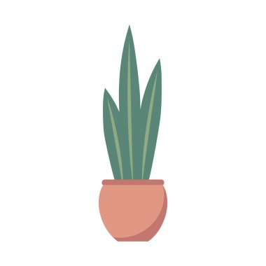 Çiçek tasarımı vektörü düz nesneler, saksı ve dekoratif bitki bahçesi