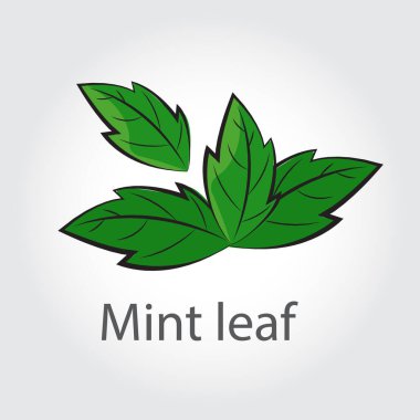 nane yaprağı tasarımı vektör çizimi