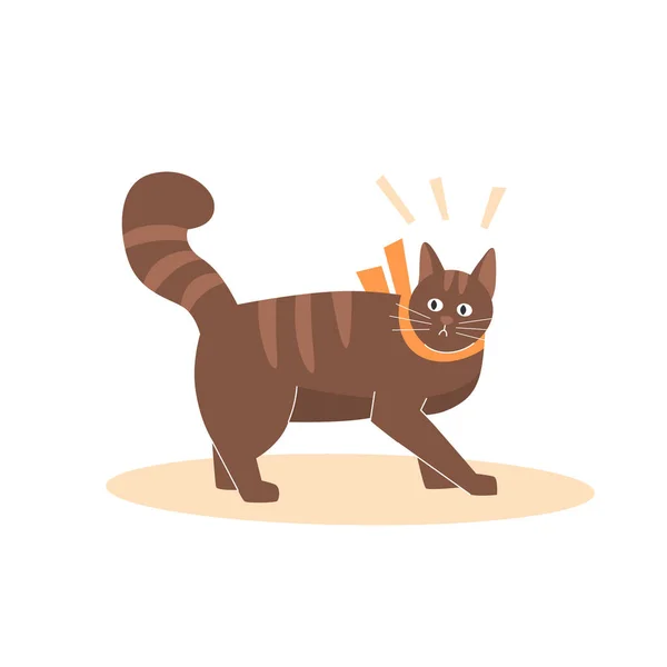 Chat Design Vecteur Objet Illustration Caractère Animal Amical — Image vectorielle
