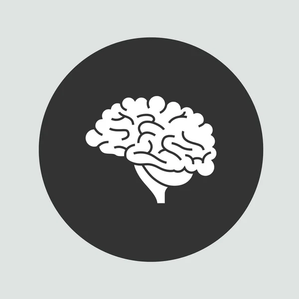 Órgão Cerebral Desenho Humano Vetor Ilustração Parte Órgão Humano —  Vetores de Stock