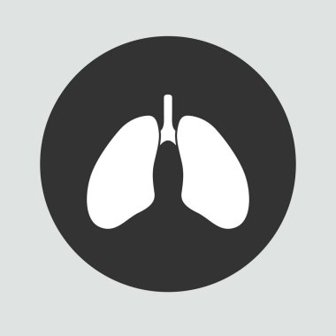 Akciğer organı insan tasarımı vektör illüstrasyonu ve kısmen organ insan