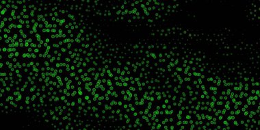 Koyu yeşil, özel işaretli sarı vektör şablonu. Sihirli ruhani güç işaretleri olan bir ilüzyon. Sihir için dizayn, ruhsal olaylar.