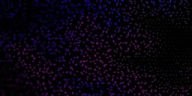 Koyu Mor, gizemli sembollü pembe vektör arkaplan. Sihirli ruhani güç işaretleri olan bir ilüzyon. Gizemli, mistik tasarımlar için arkaplan.