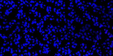 Memphis şekilli koyu mavi vektör dokusu. Basit gradyan şekilli renkli bir çizim. Duvar kağıdı seti için zarif tasarım.
