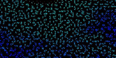 Kaotik şekilli koyu mavi vektör arkaplanı. Soyut tarzda, gradyan formlarda basit tasarım. Duvar kağıdı seti için zarif tasarım.