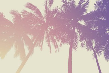 Hindistan cevizi ağacı - Vintage sesleri silüeti