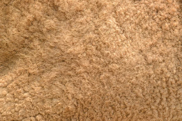 Nahaufnahme Kamelfell Natürliche Textur — Stockfoto
