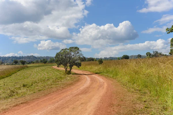 Toprak Yol Mulk Salaeng Luang Ulus Parkı Tayland — Stok fotoğraf