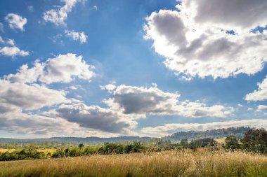 Güzel manzara, Mulk Salaeng Luang Milli Parkı, Savanna Tayland Milli Parkı