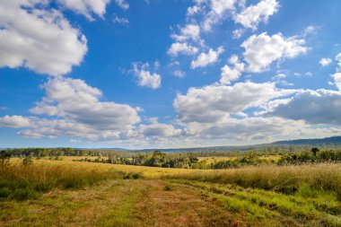 Güzel manzara, Mulk Salaeng Luang Milli Parkı, Savanna Tayland Milli Parkı