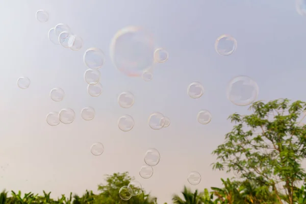 Bolhas Sabão Com Fundo Natural Atividade Livre Engraçado Festa — Fotografia de Stock