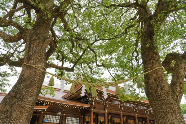 Tokyo Japonya Temmuz 2018 Dev Ağaç Arasında Copled Ağaçlar Mutlu — Stok fotoğraf