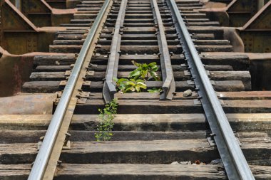 Demiryolu Köprüsü kanal - demiryolu manzara