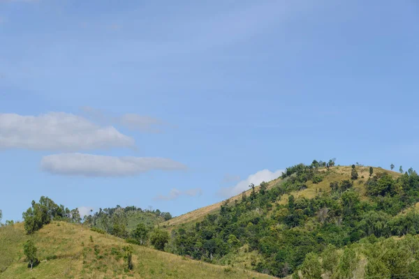 Güzel Dağ Manzarası Güzel Mavi Gökyüzü Bulut Yaz Güneşli Çayırlar — Stok fotoğraf