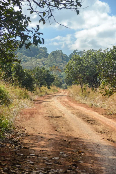 Toprak Yol Mulk Salaeng Luang Ulus Parkı Tayland — Stok fotoğraf