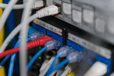 Ağ anahtarı ve ethernet kabloları. Bilgi teknoloji bilgisayar ağı