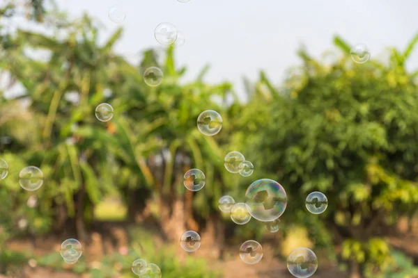 Burbujas Jabón Aire Con Fondo Natural Actividad Aire Libre Divertida — Foto de Stock