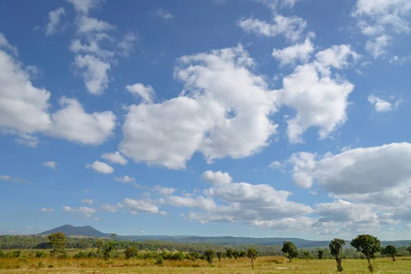 Güzel Manzara Mulk Salaeng Luang Milli Parkı Savanna Tayland Milli — Stok fotoğraf