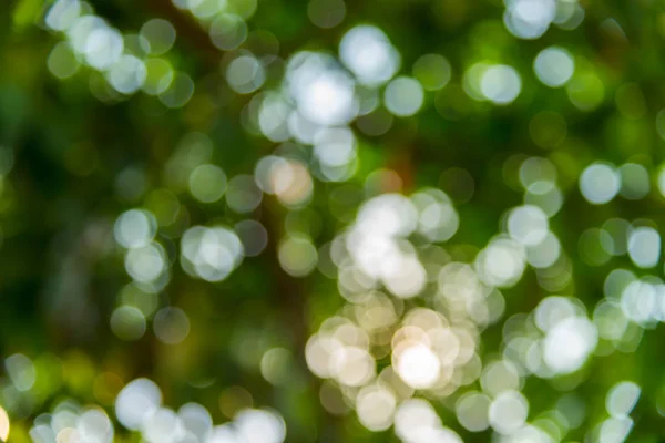 Luces Bokeh Abstractas Hoja Verde Fondo Natural — Foto de Stock